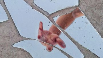 Quand le corps reprend le contrôle